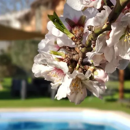 Casita De Madera * Girona